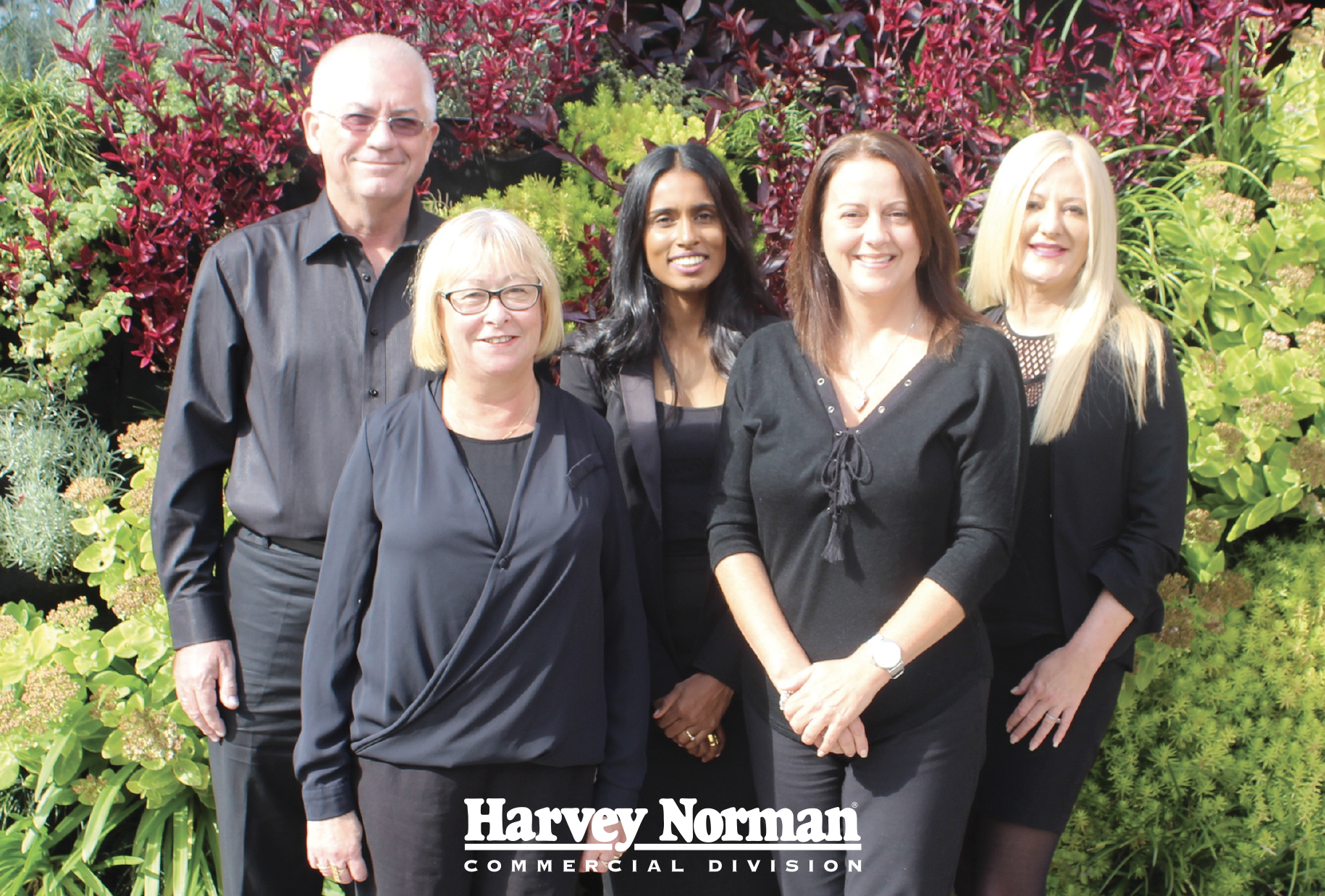 Harvey Norman Commercial Customer Service Harvey Norman 