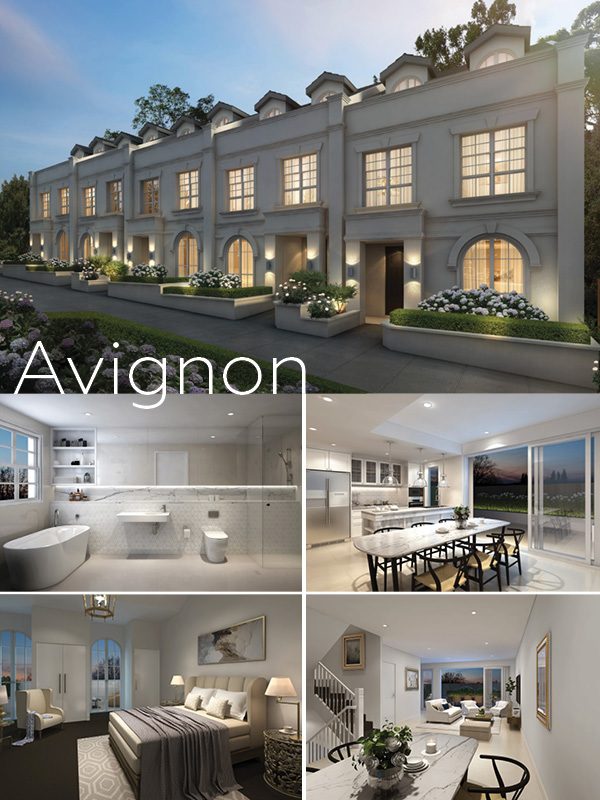 Avignon_feature